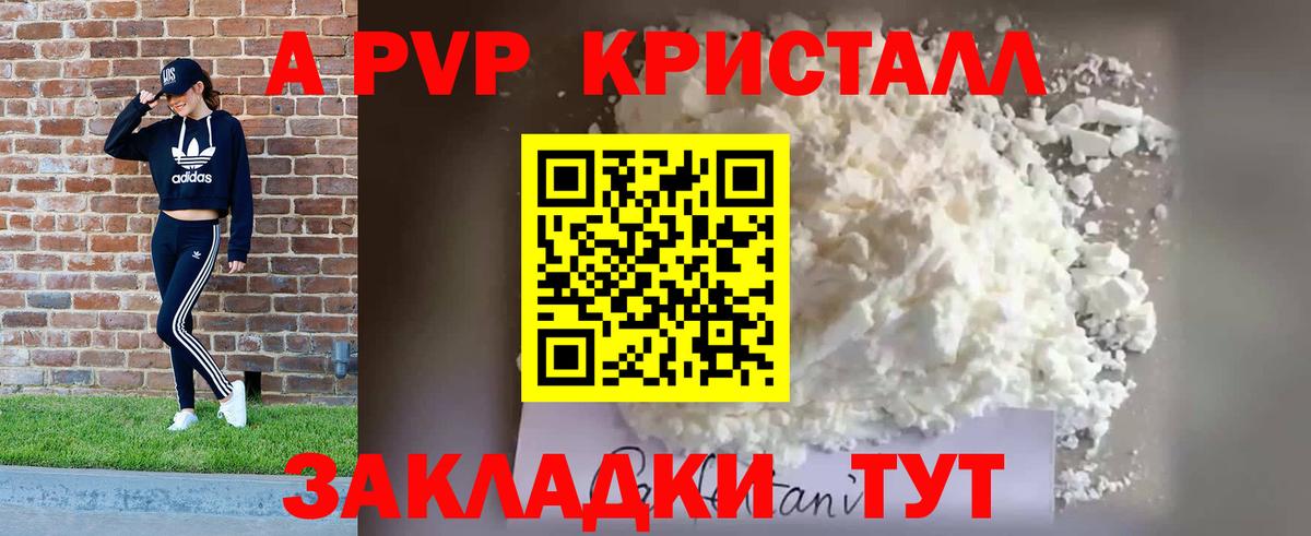 A-PVP СК КРИС Ленинск-Кузнецкий