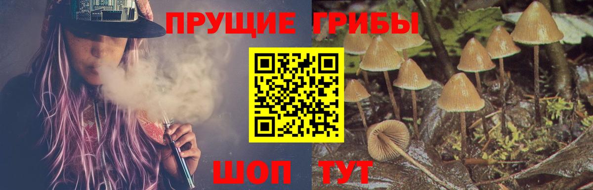 Галлюциногенные грибы Psilocybe  Вход с VPN  Ленинск-Кузнецкий 