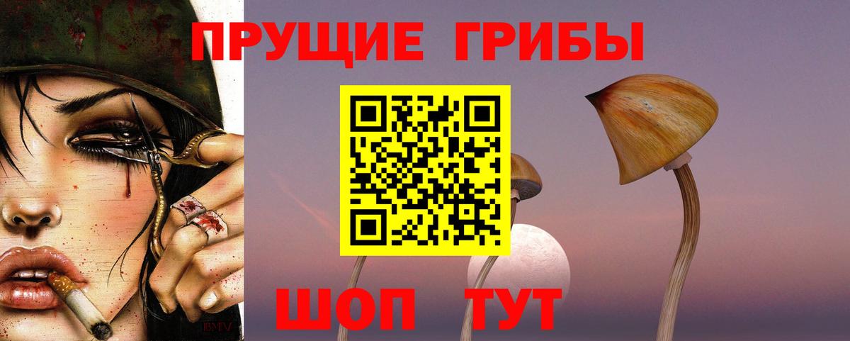 Галлюциногенные грибы прущие грибы Ленинск-Кузнецкий