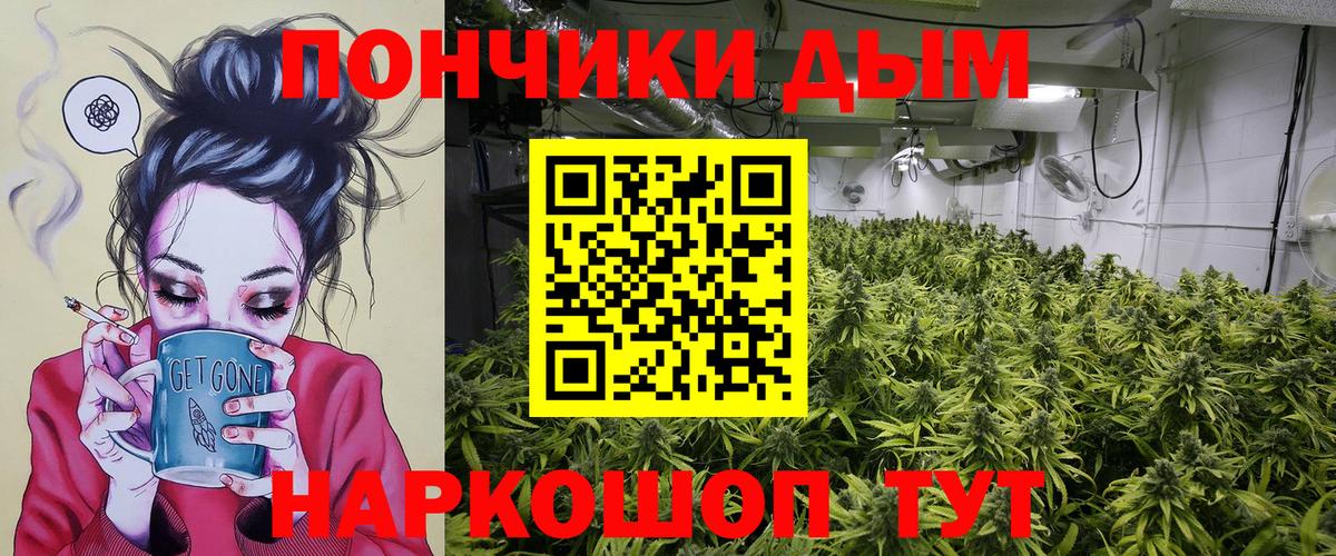 Ленинск-Кузнецкий  МАРИХУАНА план  Канабис семена  Вход с VPN 